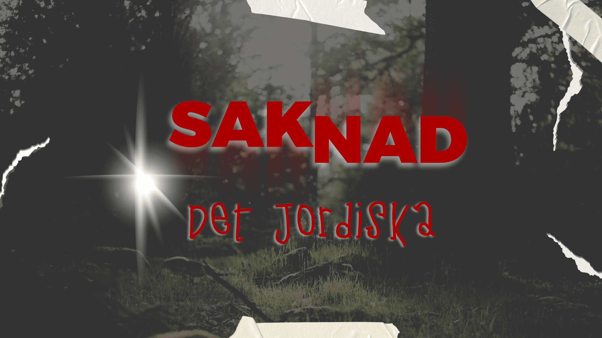 Saknad + Det Jordiska