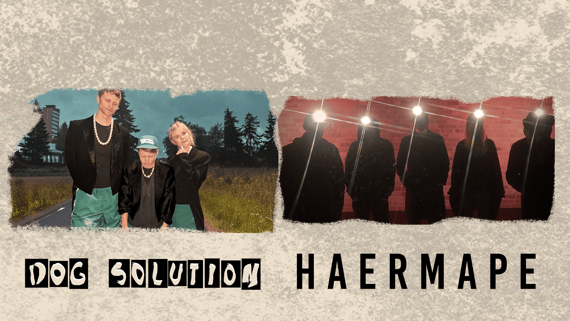 Dogsolution HAERMAPE