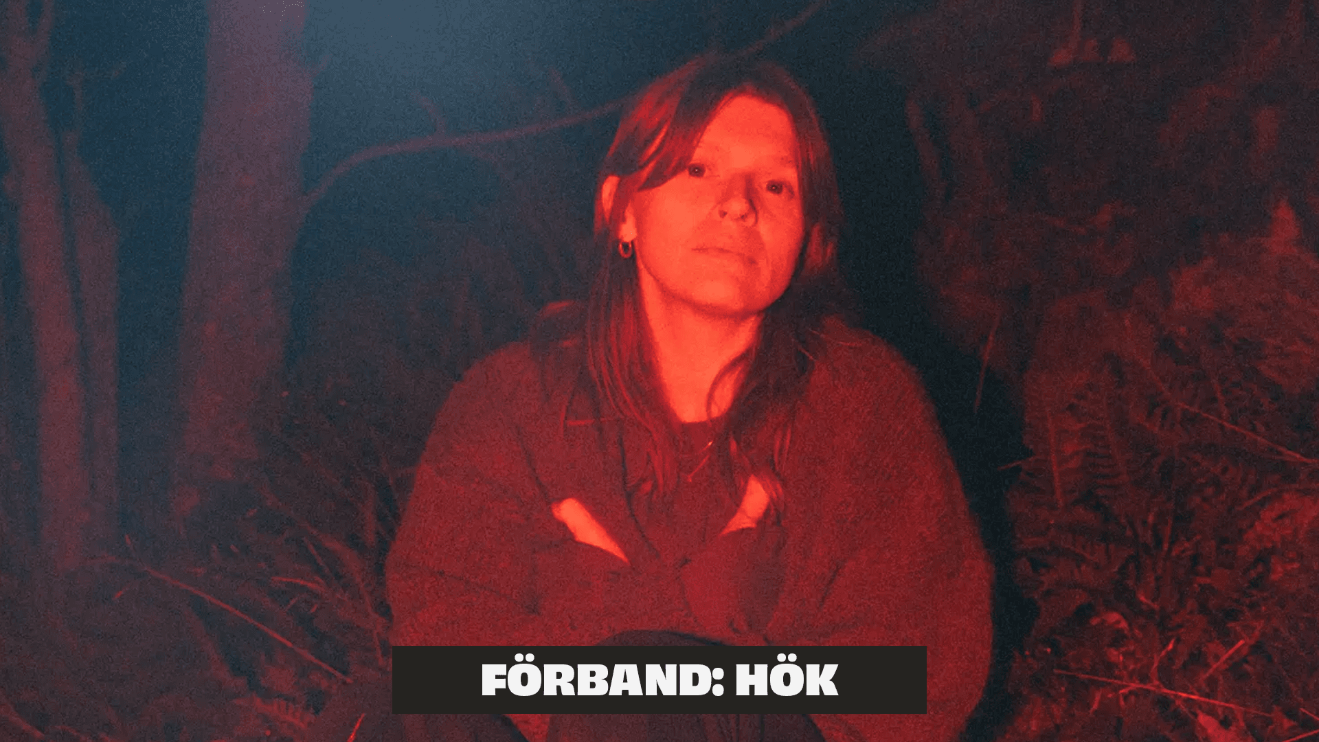 mi von ahn och hök