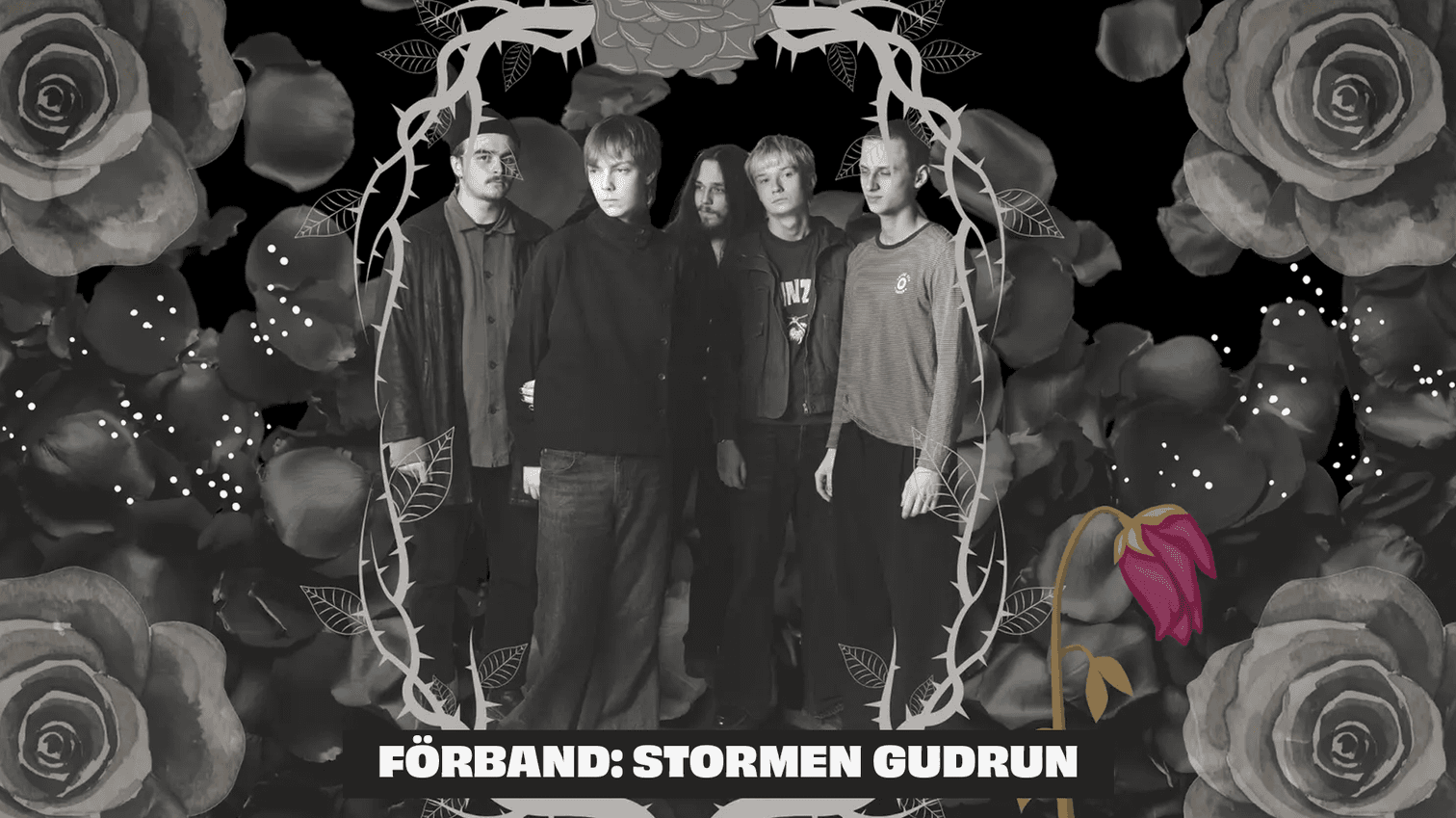 nektar+förband.png