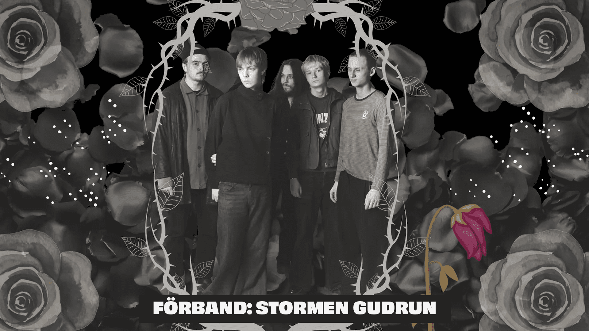 nektar+förband.png