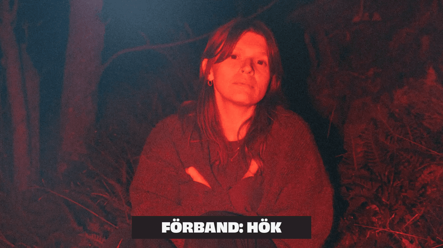 mi von ahn och hök
